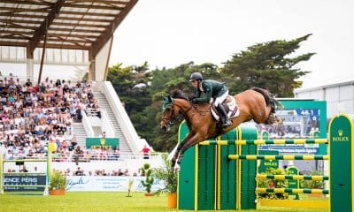 Na imagem, Stephan Barcha superando obstáculo com seu cavalo.