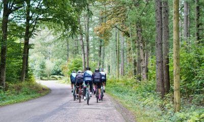 guia olímpico ciclismo estrada jogos olímpicos de paris 2024