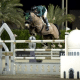 Luiz Felipe de Azevedo Neto Luiz Felipe de Azevedo Filho Luciana Diniz Mariana Chagas copa do mundo sharjah hipismo saltos Celine de Schoonbroodt de Azevedo