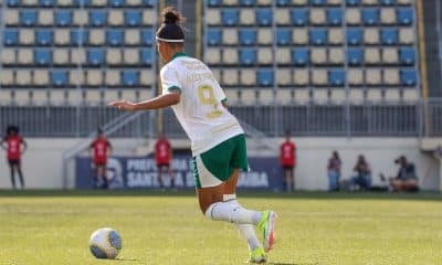 Palmeiras Feminino, Brasileirão Feminino, Brasileiro Feminino, Grêmio Feminino, onde assistir, transmissão ao vivo