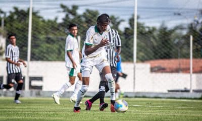Palmeiras, Flamengo, Cruzeiro, Brasileiro Sub-20, Brasileiro Sub-20 masculino