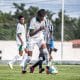 Palmeiras, Flamengo, Cruzeiro, Brasileiro Sub-20, Brasileiro Sub-20 masculino