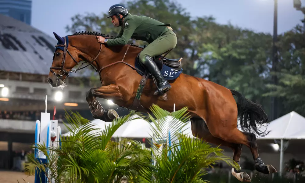 Thiago Rhavy Brasileiro Sênior Top Campeão