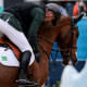 Transporte de cavalos exige cuidado especial para os Jogos Olímpicos de Paris-2024
