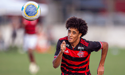 Flamengo no Brasileiro sub-17 de futebol masculino