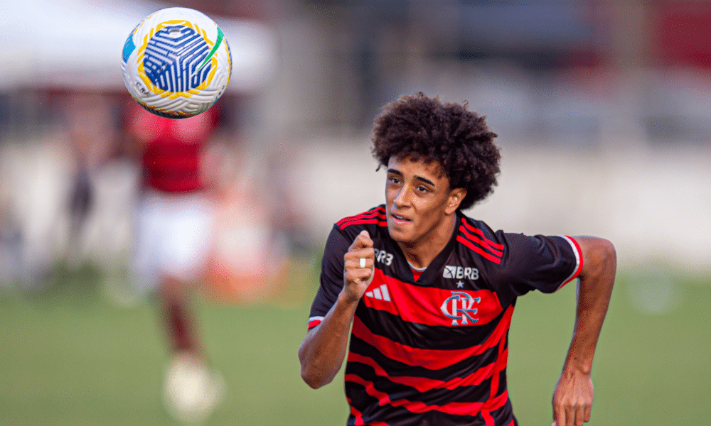 Flamengo no Brasileiro sub-17 de futebol masculino