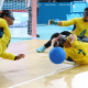 Seleção masculina de goalball