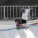 augusto akio , mundial, skate, park, roma, ostia, onde assistir, world