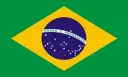 bandeira do brasil. logo da bandeira do brasil BRA FLAG