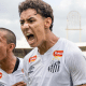 Jogadores do Santos durante a Copinha