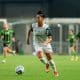 Palmeiras, Bragantino, América-MG, Brasileirão Feminino, Internacional