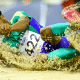 Almir Júnior no Mundial Indoor de atletismo