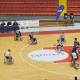 Brasil x Estados Unidos - Campeonato das Américas Sub-23 de basquete em cadeira de rodas