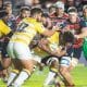 Pampas, Cobras Brasil, Super Rugby Américas