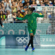 Seleção brasileira de handebol feminino fará amistosos contra a Hungria