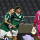Palmeiras x Flamengo - Brasileirão Sub-20