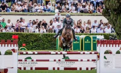 Stephan Barcha - Hipismo saltos