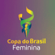 Copa do Brasil de futebol feminino copa do brasil feminina de futebol