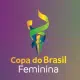 Copa do Brasil de futebol feminino copa do brasil feminina de futebol