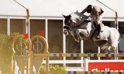 Luiz Felipe de Azevedo Neto hipismo saltos Foto: @luizfelipedeazevedoneto/Instagram