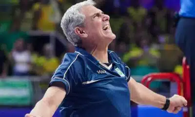 Zé Roberto Brasil Vôlei Feminino Seleção Brasileira Liga das Nações