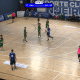 Campeonato Brasileiro Júnior de handebol masculino