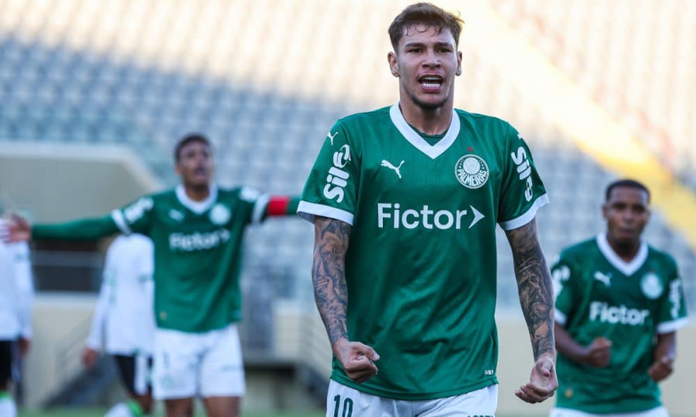 Palmeiras no Brasileiro Sub-20