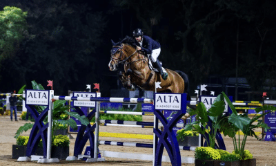 José Roberto Reynoso hipismo saltos Brasileiro de hipismo saltos