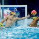 João Pedro Fernandes faz defesa no jogo entre Brasil e Singapura no Mundial de Esportes Aquáticos - Polo aquático