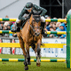 Stephan Barcha no GP Rolex do CHIO Aachen, evento de hipismo saltos na Alemanha