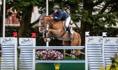 Pedro Veniss em ação no hipismo saltos