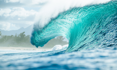 wsl pipeline pipe masters circuito mundial de surfe temporada 2026 novidades