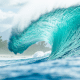 wsl pipeline pipe masters circuito mundial de surfe temporada 2026 novidades