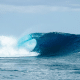 gripe, wsl, finals, fiji