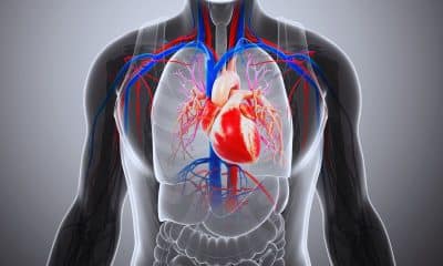 O impacto dos exercícios regulares na saúde do coração