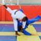 Como o judô pode ser adaptado para treinos de força e resistência