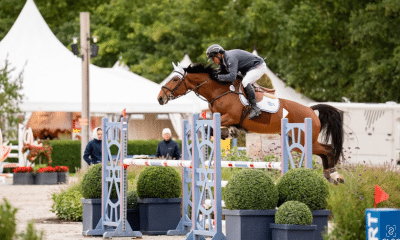 brasileiros, mundial, cavalos novos, hipismo