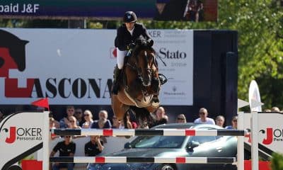 Hipismo Brasil João Victor Castro