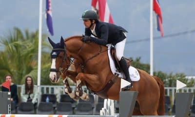 Na imagem, Marlon Zanotelli saltando em seu cavalo, Falko Ste Hermelle, um dos obstáculos.