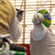 Jovane Guissone no Mundial de Paraesgrima