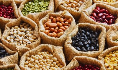 Alimentos ricos em magnésio para prevenir cãibras em atletas