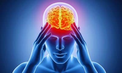 Neurociência e foco- como o cérebro aprende a ser disciplinado