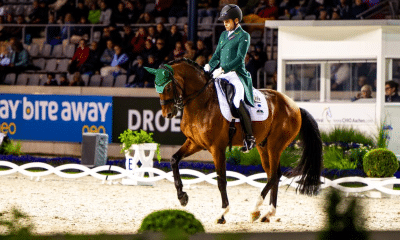 Retornando às pistas, João Victor Oliva faz índice para o Mundial de Adestramento