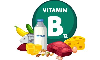 Como os micronutrientes influenciam seu desempenho