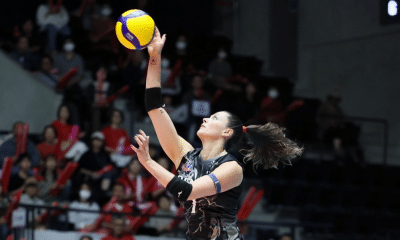 Liga Japonesa de Vôlei: Rosamaria