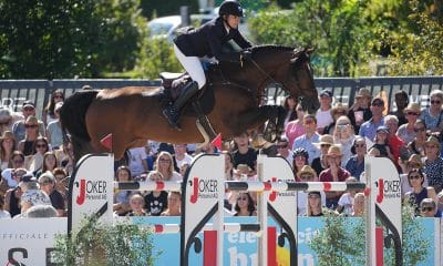 Na imagem, João Victor Castro saltando o obstáculo com seu cavalo.