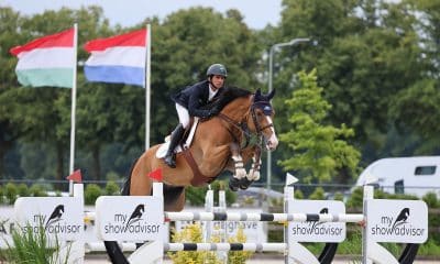 Na imagem, Marlon Zanotelli saltando obstáculo com seu cavalo.