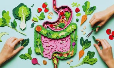 Fibras na alimentação- aliadas da energia e da saúde intestinal