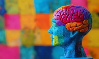 Como o esporte ajuda o cérebro a envelhecer melhor