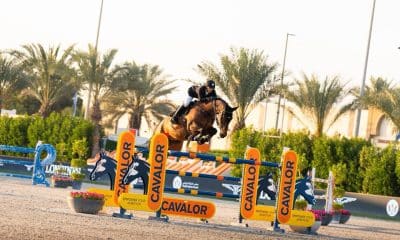 Na imagem, João Victor de Lima saltando o obstáculo com seu cavalo Kenzo Quality Z.